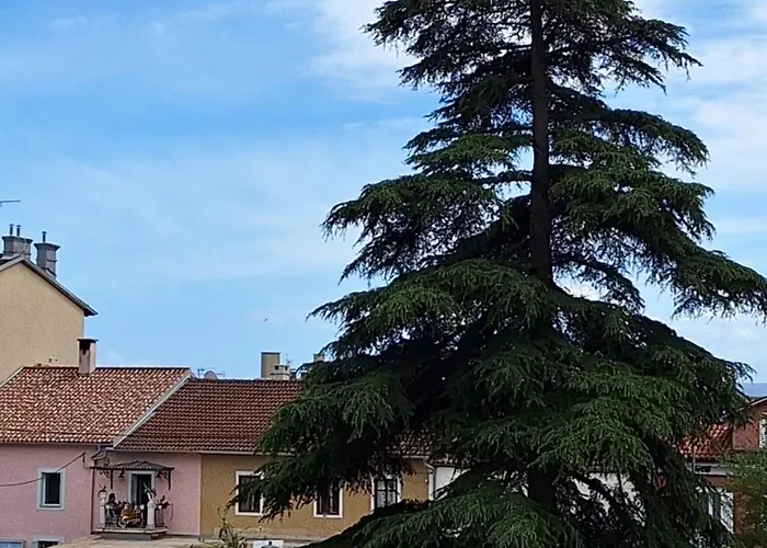 Apartament Knezgrad *